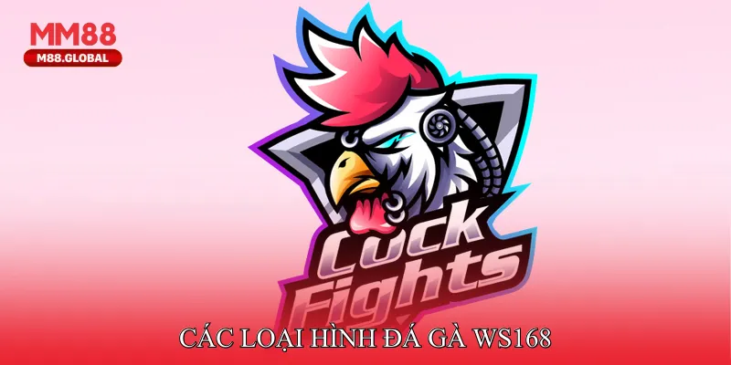Các loại hình đá gà WS168