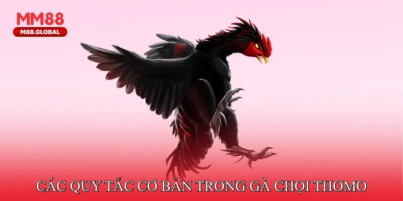 Các quy tắc cơ bản trong gà chọi Thomo