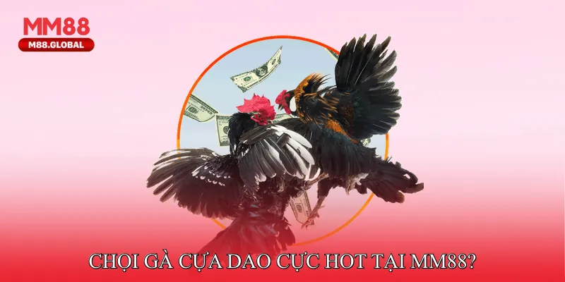 Chọi gà cựa dao cực hot tại MM88?