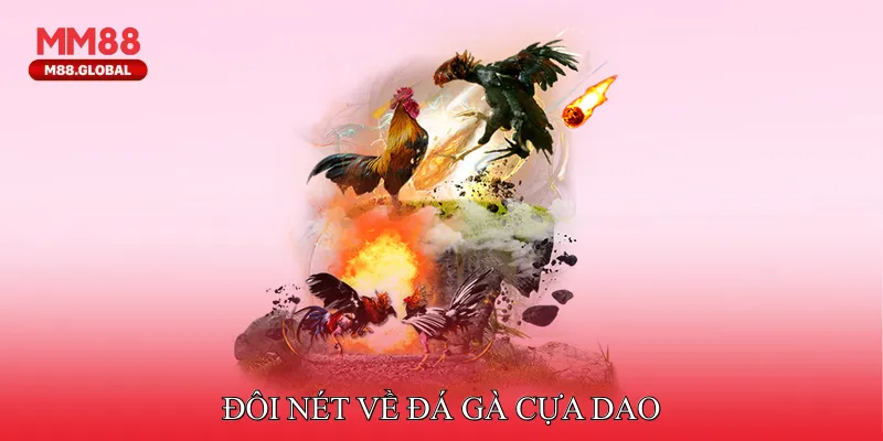 Đôi nét về đá gà cựa dao