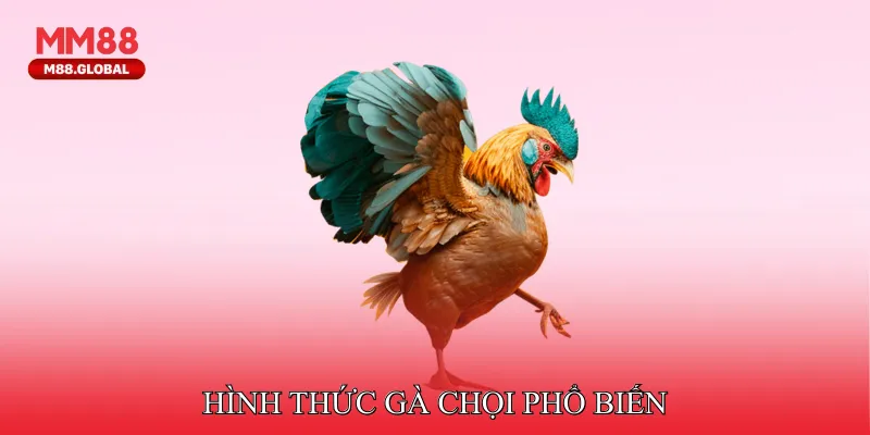 Hình thức gà chọi phổ biến
