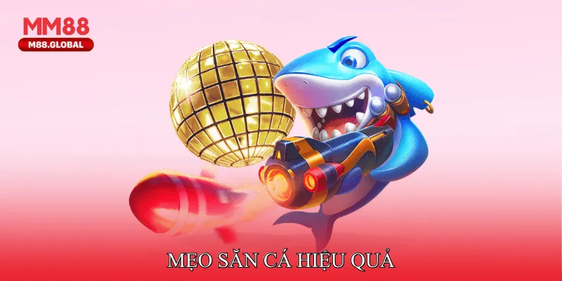 Mẹo săn cá hiệu quả