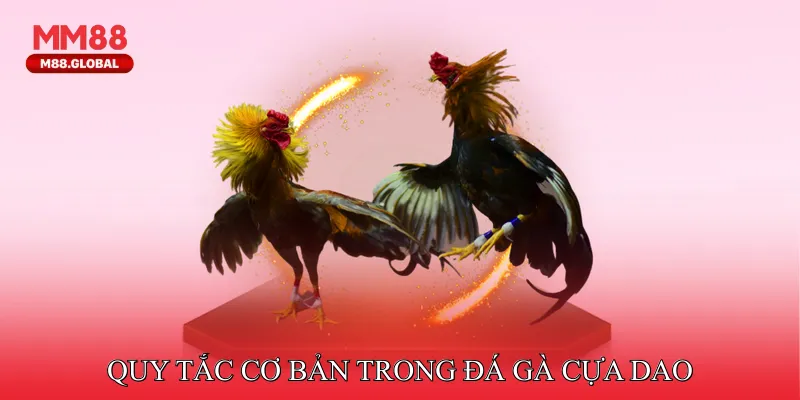 Quy tắc cơ bản trong đá gà cựa dao